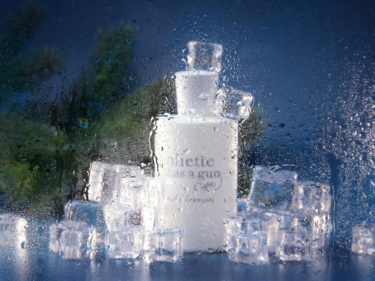 JHAG Not A Perfume Eau de Parf - Perfume Fragrance Types For Women のレビューと価格