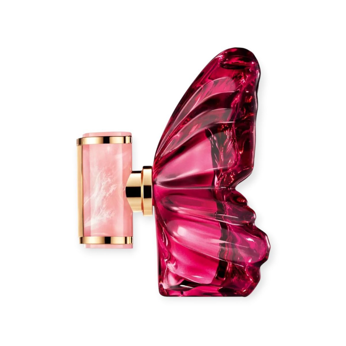 Butterfly perfume, Dubai Arabi - Fragrance Perfume In Dubai のレビューと価格