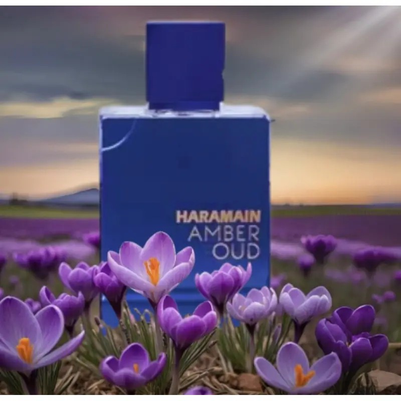 Al Haramain Amber Oud - Dubai  - Fragrance Perfume In Dubai のレビューと価格